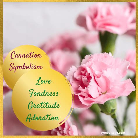 Carnation Flower Meaning, Yellow Carnations, Most Popular Flowers ...