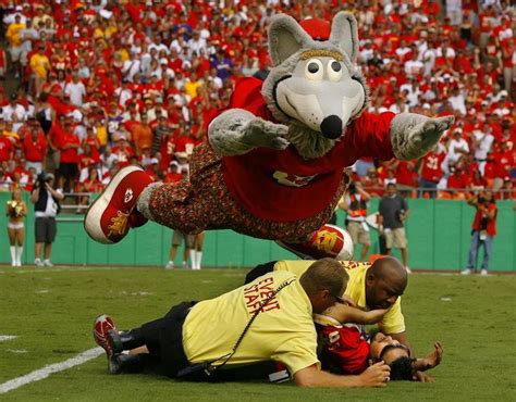 121 best images about > NFL TEAM MASCOTS