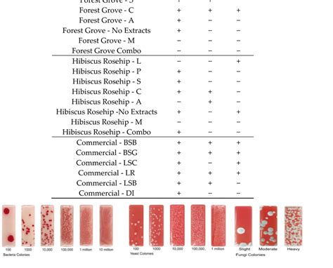 Hydrophilic, lipophilic, and total (A-C) phenolics, (D-F) antioxidants ...