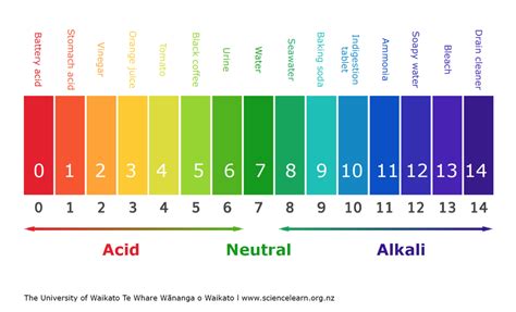 Basic On The Ph Scale