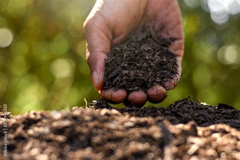 Loam in the hands of men for planting, soil texture background. Stock ...