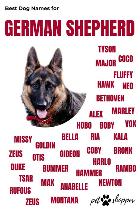 the german shepherd dog names poster