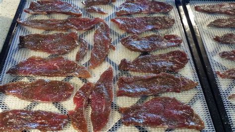 The Best Ever Venison Jerky Recipe ~ Back to Our Roots