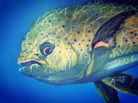 Painting of a mahi mahi fish in acrylic. 36"X24". See my page in ...