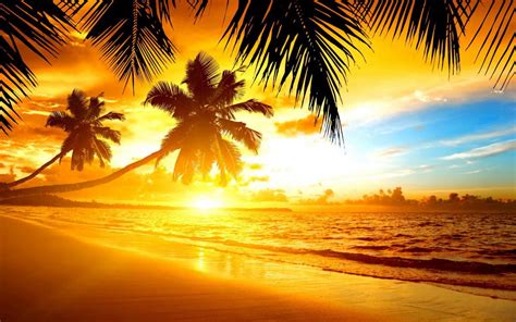 🔥 [100+] Tropical Island Sunset Wallpapers | WallpaperSafari