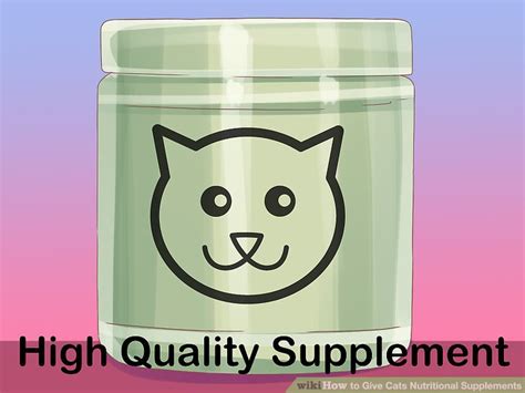 How to Give Cats Nutritional Supplements: 8 Steps (with Pictures)