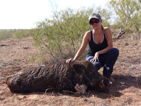 Hog Hunting in Texas {{A Beginner's Guide}}