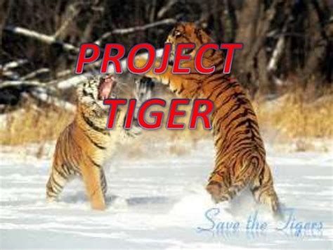 Project tiger