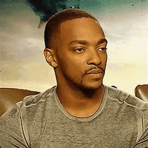 Anthony Mackie Straight Face GIF - Anthony Mackie Straight Face Bored ...