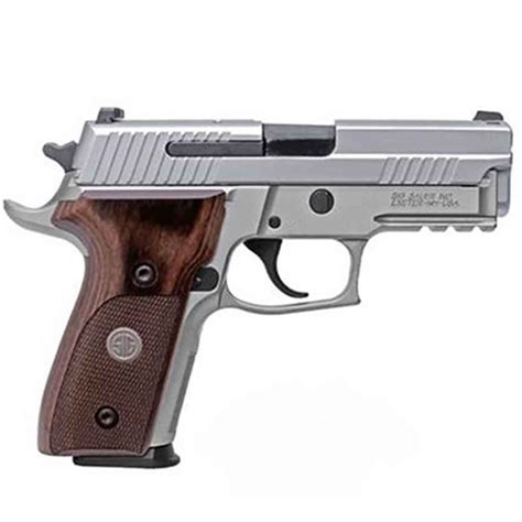 Sig Sauer P229 Elite Stainless Pistol | Sportsman's Warehouse