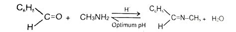 Ch3nh2 Reaction