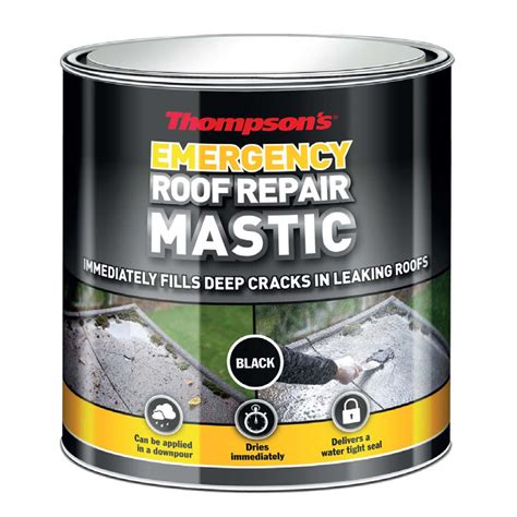 Thompson's Emergency Roof Mastic (Black) 750ml (36082) - Intertech ...