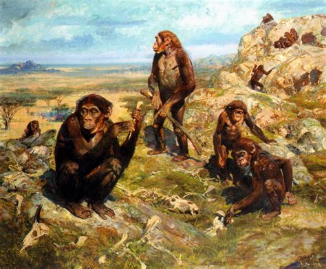 Zdeněk Burian: Australopithecus Africanus