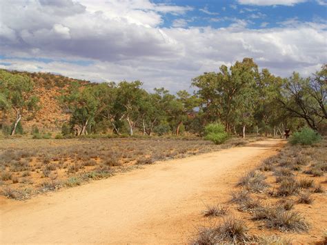 Photo of dirt track road | Free Australian Stock Images