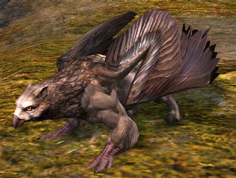 Griffon (race) - Guild Wars 2 Wiki (GW2W)