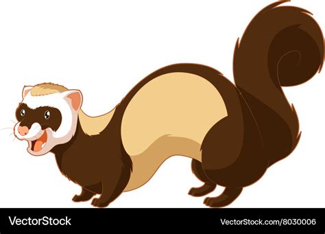 Cartoon smiling ferret Royalty Free Vector Image