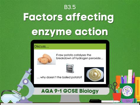 Factors affecting enzyme activity | Teaching Resources