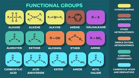 Overview of common functional groups - Labster