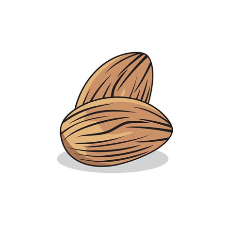 Almond design illustration 3519385 Vector Art at Vecteezy