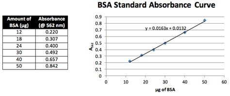 BCA Protein Concentration Assay - Odinity