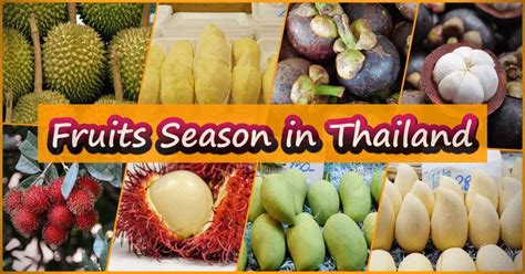 Guide to Food, Drink and Dessert in Thailand