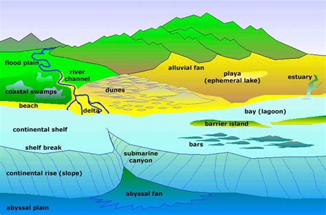 Depositional Environments Common depositional environments where ...