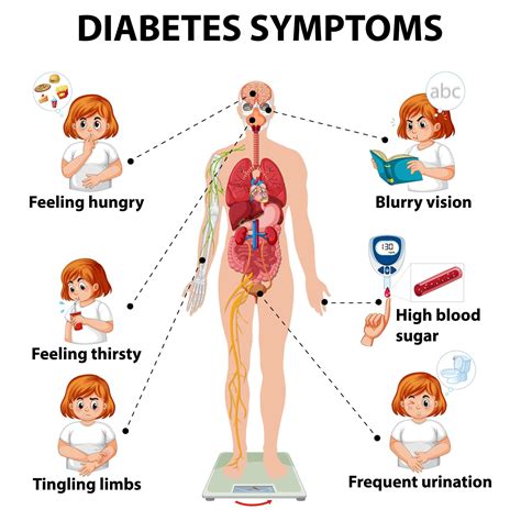 Diabetes symptoms infographic 1426646 Vector Art at Vecteezy