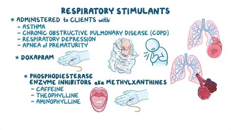 Respiratory stimulants: Nursing pharmacology - Osmosis Video Library