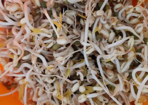 Mung Bean Sprouts (Tauge) Recipe by mevrouwpinda - Cookpad