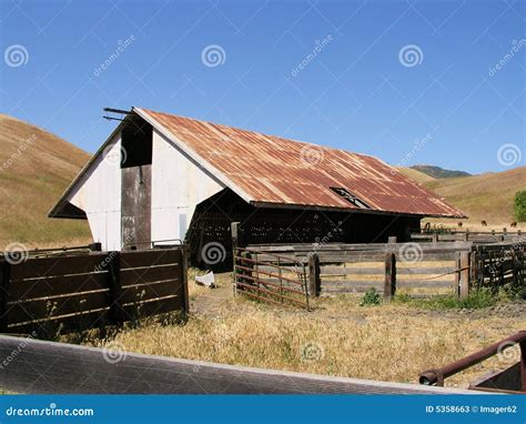 Old Cattle Barn stock image. Image of dusty, feed, cattle - 5358663