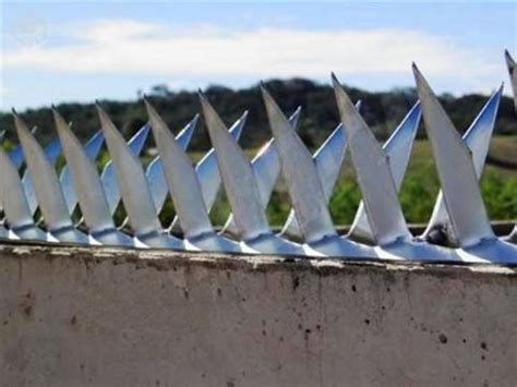 Wall Spikes Fences – Galvanized Steel Sheet and Stainless Steel Type