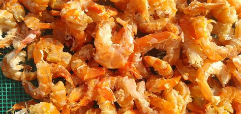 Dried Shrimp variety kinds, size with high quality to importer