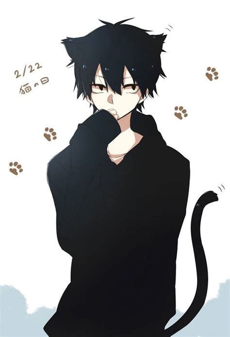 He is in fact Shintaro... As a neko... Anime Neko, Anime Cat Boy, Boy ...