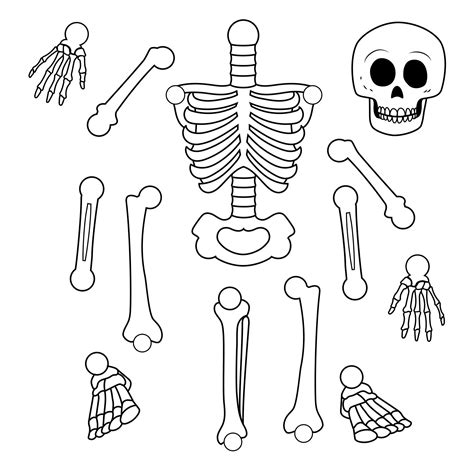 Printable Skeleton Template Cut Out Skeleton For Kids, Life Size ...