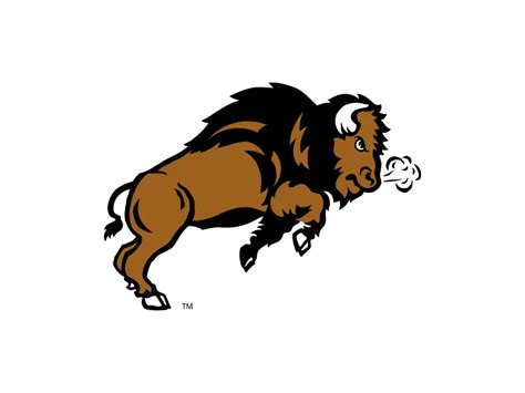 NDSU Bison Logo PNG vector in SVG, PDF, AI, CDR format