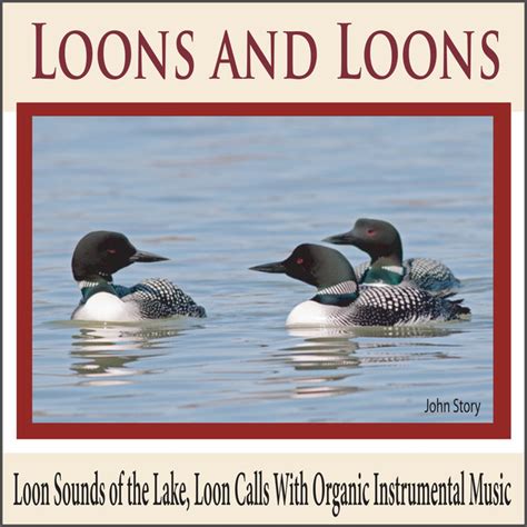 Loons and Loons: Loon Sounds of the Lake, Loon Calls With Organic ...