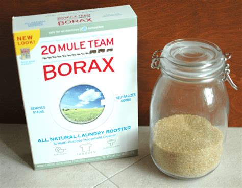 Homemade Ant Killer Recipe: DIY Borax Ant Killer - Plant Instructions