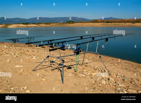 Carp fishing rods Stock Photo - Alamy