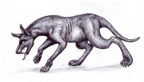 North American Chupacabra | Legendary monsters, Monster, Creepy monster