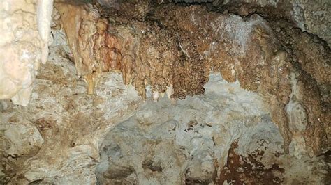 Cayman Brac Caves - 2020 All You Need to Know BEFORE You Go (with ...