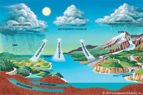 water cycle - Students | Britannica Kids | Homework Help