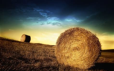 Hay Field Wallpapers - Top Free Hay Field Backgrounds - WallpaperAccess