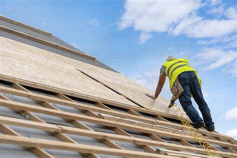 Types and Grades of Plywood for the Roof - Homenish