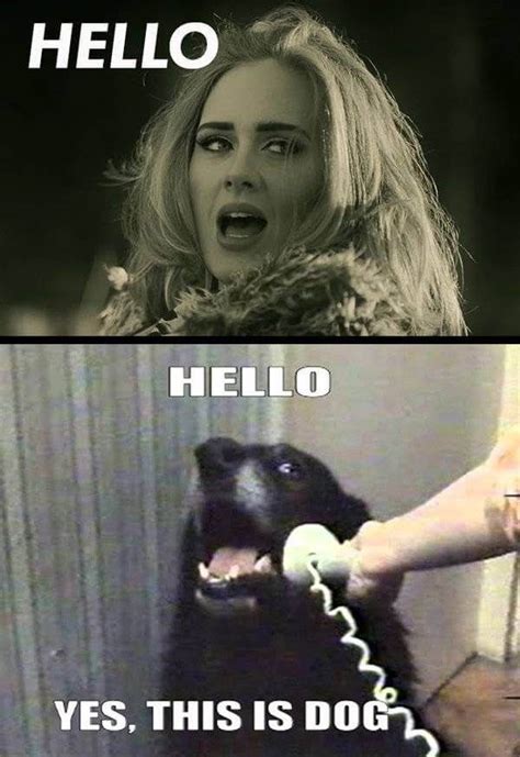 28 Adele Hello Meme Pictures Because You Really Didn’t Hear That Song ...