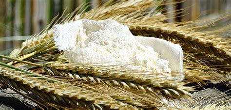 Types of Flour – Understanding Different Wheat Flours - Little Homesteaders