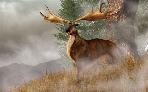 Irish Elk - Facts and Beyond | Biology Dictionary