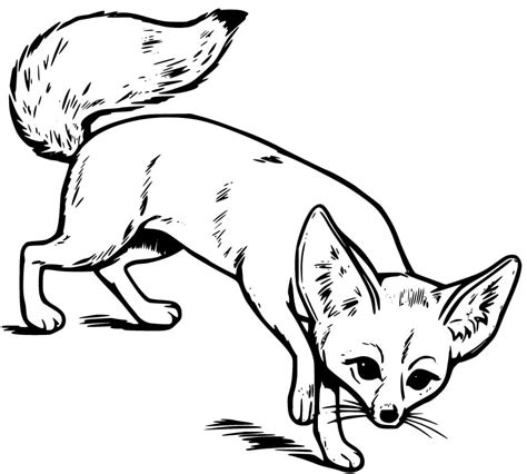 Fennec Fox Coloring Pages - Free Printable Coloring Pages for Kids