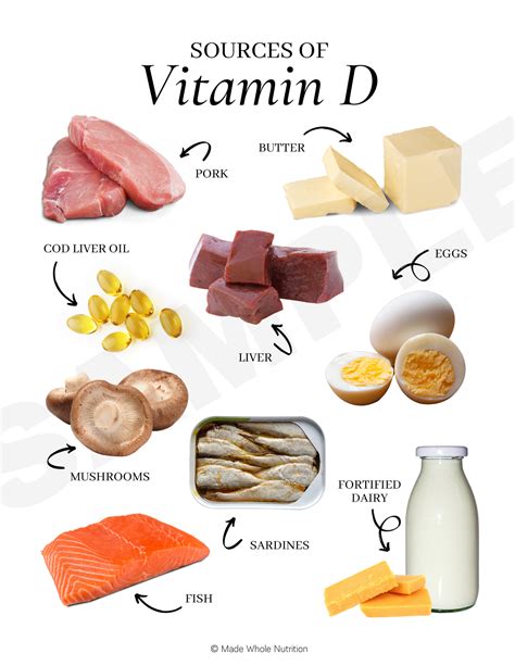 Sources of Vitamin D Handout — Functional Health Research + Resources ...