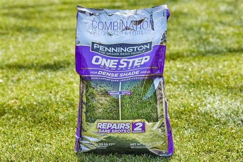 What is the Best Grass Seed for a Lawn?