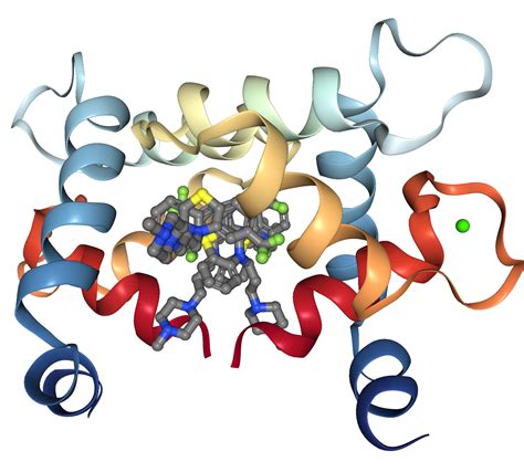 Troponin C Protein Overview | Sino Biological